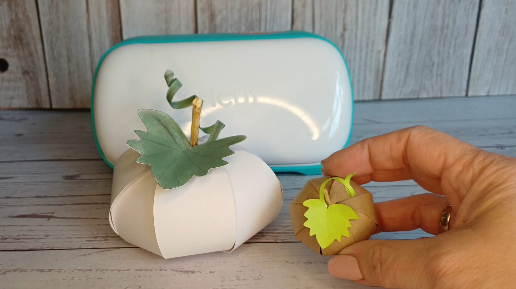 Papierkürbis plotten – auch für Cricut Joy geeignet 10 Zwei Papierkürbisse mit dem Cricut Joy